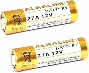 61v8zM8epvL.__AC_SY300_SX300_QL70_ML2_ 27A /12V Battery - Image 1